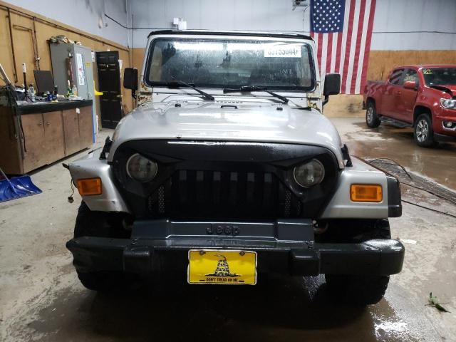 2000 Jeep Wrangler / TJ SE