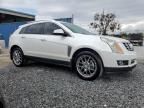 2013 Cadillac SRX Performance Collection