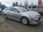 2013 Hyundai Sonata Hybrid