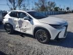 2025 Lexus NX 250 Premium