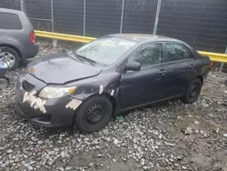 Salvage cars for sale at Waldorf, MD auction: 2010 Toyota Corolla Base