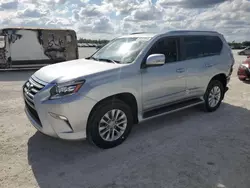 Salvage cars for sale at Arcadia, FL auction: 2014 Lexus GX 460