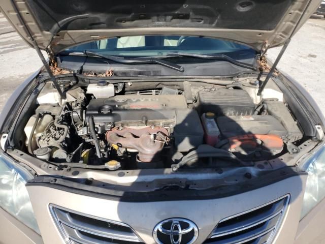 2009 Toyota Camry Hybrid