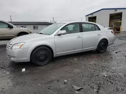 Salvage cars for sale at Airway Heights, WA auction: 2006 Toyota Avalon XL