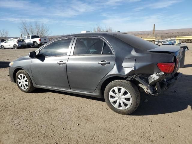 2010 Toyota Corolla Base