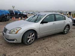 Salvage cars for sale at Houston, TX auction: 2004 Nissan Maxima SE