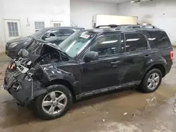 Salvage cars for sale at Davison, MI auction: 2011 Ford Escape XLT