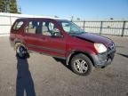 2004 Honda CR-V LX