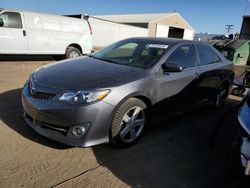 Salvage cars for sale at Brighton, CO auction: 2014 Toyota Camry L