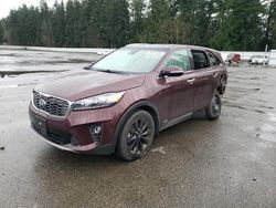 Salvage cars for sale at auction: 2020 KIA Sorento EX