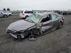 2024 Toyota Camry SE Night Shade en venta en Airway Heights, WA