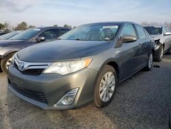 2013 Toyota Camry Hybrid en venta en Fredericksburg, VA