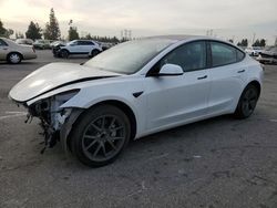 Salvage cars for sale at auction: 2023 Tesla Model 3