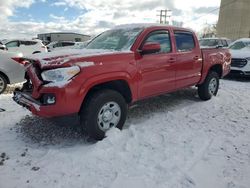 Salvage cars for sale at Wayland, MI auction: 2023 Toyota Tacoma Double Cab