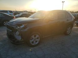 Salvage cars for sale at Indianapolis, IN auction: 2019 Toyota Rav4 XLE