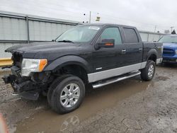 2013 Ford F150 Supercrew en venta en Dyer, IN