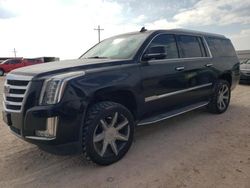 Flood-damaged cars for sale at auction: 2016 Cadillac Escalade ESV Luxury