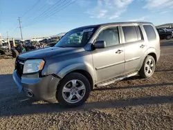 Salvage cars for sale at Helena, MT auction: 2013 Honda Pilot EXL