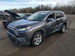 Salvage cars for sale at Cookstown, ON auction: 2019 Toyota Rav4 LE