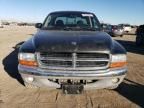 2004 Dodge Dakota SLT