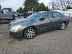 Salvage cars for sale at Finksburg, MD auction: 2007 Honda Accord EX