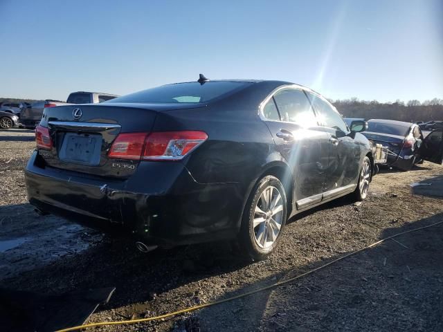 2010 Lexus ES 350