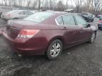 2008 Honda Accord LXP