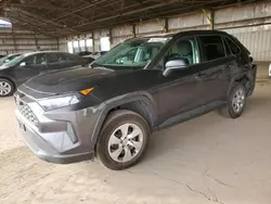 Salvage cars for sale at Phoenix, AZ auction: 2019 Toyota Rav4 LE