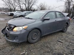 Toyota Corolla Base Vehiculos salvage en venta: 2011 Toyota Corolla Base