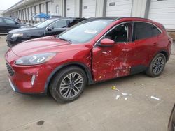 Salvage cars for sale at Louisville, KY auction: 2020 Ford Escape SEL