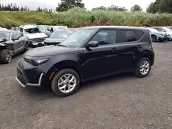 Salvage cars for sale at Kapolei, HI auction: 2023 KIA Soul LX