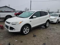 Ford Escape Vehiculos salvage en venta: 2014 Ford Escape SE