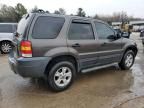 2006 Ford Escape XLT