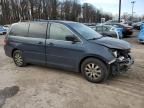 2010 Honda Odyssey EXL