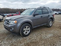 Salvage cars for sale at Memphis, TN auction: 2012 Ford Escape XLT