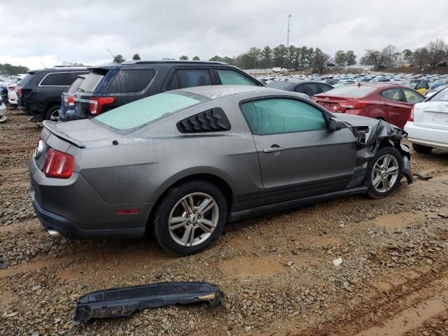 2010 Ford Mustang