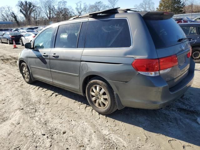 2008 Honda Odyssey EXL