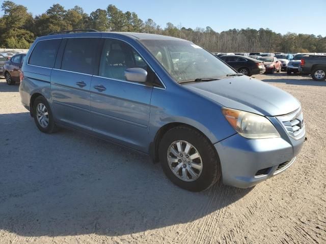 2010 Honda Odyssey EXL