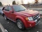 2009 Ford Escape Limited