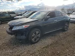 Honda Crosstour Vehiculos salvage en venta: 2014 Honda Crosstour EXL