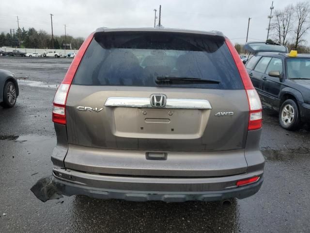 2010 Honda CR-V EXL