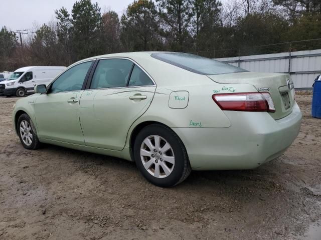 2009 Toyota Camry Hybrid