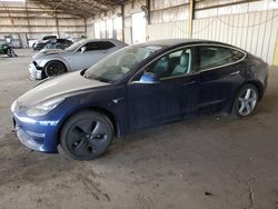 Salvage cars for sale at Phoenix, AZ auction: 2019 Tesla Model 3