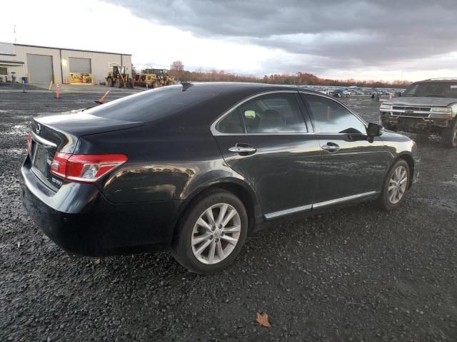 2011 Lexus ES 350