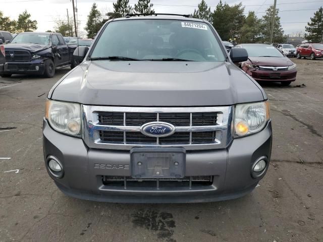 2012 Ford Escape XLT