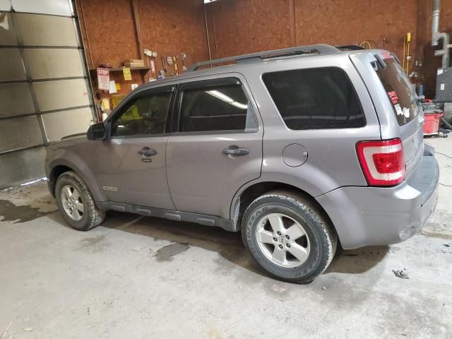 2008 Ford Escape XLT