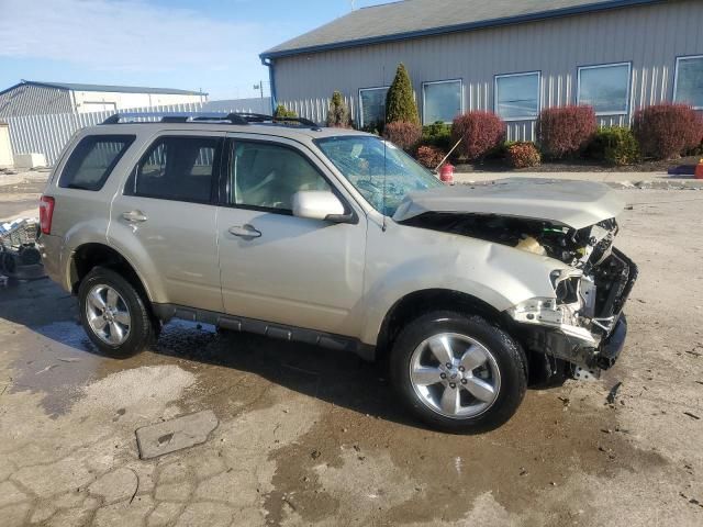 2011 Ford Escape Limited