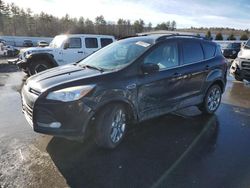 Salvage cars for sale at Windham, ME auction: 2014 Ford Escape SE