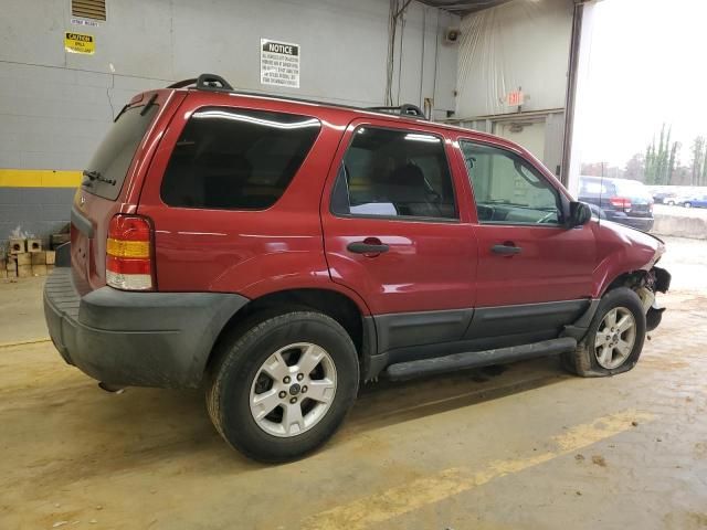 2005 Ford Escape XLT