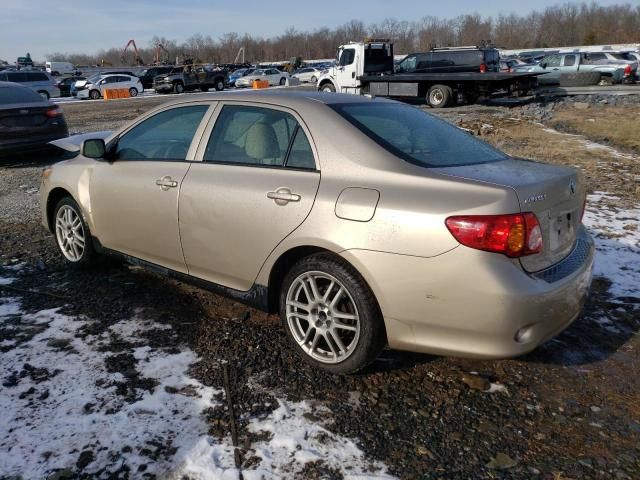 2010 Toyota Corolla Base